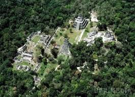 Археологи виявили гробницю короля майя. Як повідомлялось, поховання було знайдено під пірамідою Ель-Дьябло в давньому місті Ель-Соц і належить до 300-600 років нашої ери.