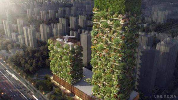 У Китаї будують "квітучі" будинки. Такі будівлі виробляють кисень і сприяють поліпшенню екологічної обстановки у великих містах.