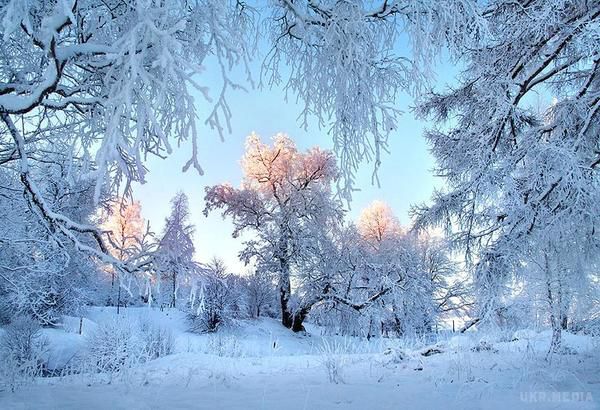 У найближчі дні Україну очікує пік морозів. У найближчі дні в Україну прийдуть пікові заморозки. 