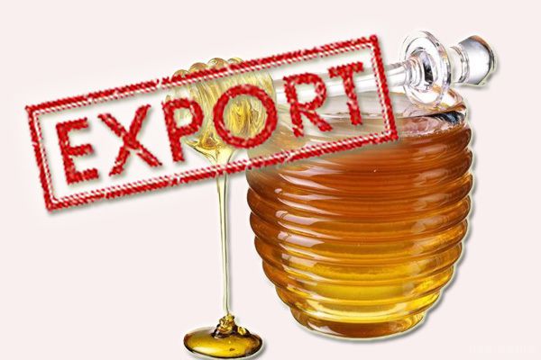 Експорт цього бджолопродукту до Європи зріс майже на 60%. За результатами 2016-го поставки українського меду за кордон сягнули рекордної позначки -- 57 тисяч тонн.