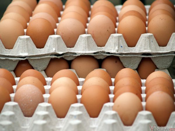 Нова заборона Россільгоспнагляду вдарить по українських виробниках яєць - Дорошенко. Олексій Дорошенко попередив, що нова заборона РФ, яка стосується ввозу курячих яєць з ЄС, негативно відіб*ється на українських виробниках. 