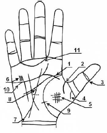 Рідкісні лінії та знаки на руці в хіромантії.  Знаки на руці в хіромантії.