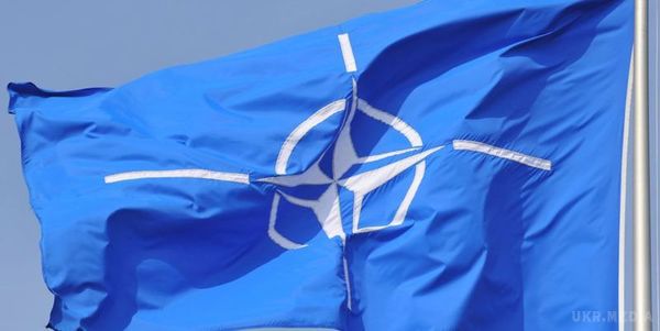 Вісім країн НАТО направлять військових в Румунію. Вісім країн НАТО направлять військових для нової бригади в Румунії.