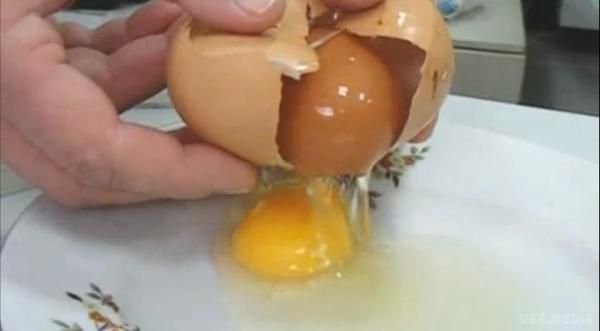 Куряче яйце сформувалося всередині яйця (фото, відео). Курячі яйця давно вже увійшли в повсякденний раціон людини, але у курячої репродуктивної системи, як і в інших тварин, іноді трапляються відхилення на ембріональному періоді.