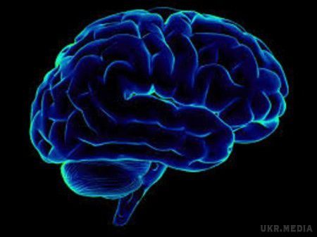 Розкриваючи містичні таємниці. Мозок (відео). Мабуть, немає в організмі людини нічого більш загадкового, ніж цей орган.