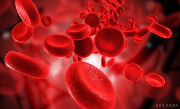 Вчені встановили особливості груп крові. Виявилося, що група крові є вирішальним фактором схильності до серйозних захворювань і харчових переваг.