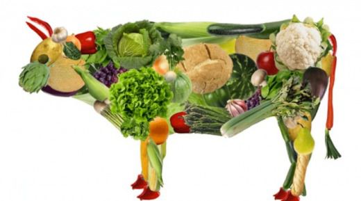 Чи дійсно потрібно перестати їсти м'ясо? 10 спростованих законів вегетаріанства. Давайте розвіємо міфи про користь вегетаріанства і шкідливість м'яса раз і назавжди!