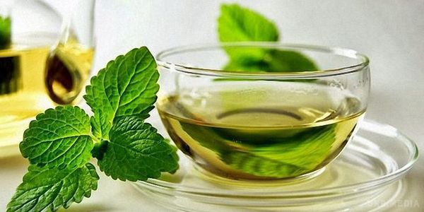 Медики виявили шкідливу властивість зеленого чаю. Зелений чай перешкоджає засвоєнню вуглеводів.
