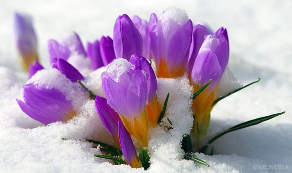 Прогноз погоди в Україні на сьогодні 26 лютого 2017: сонячно, місцями очікується дощ зі снігом. По всій Україні синоптики обіцяють в більшості регіонів сонячну погоду, місцями пройдуть дощі зі снігом.