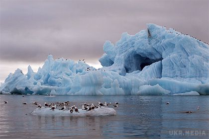 Вчені оцінили ймовірність затоплення Арктики. Вчені з Ексетерського університету (Великобританія) оцінили ймовірність танення льодів Арктики до середини сторіччя.