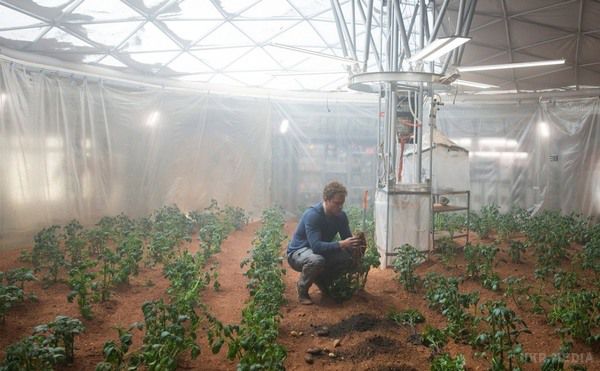 Вчені експериментально підтвердили можливість вирощування картоплі на Марсі. Картопля може рости в умовах Червоної планети за мінімальної підтримки.