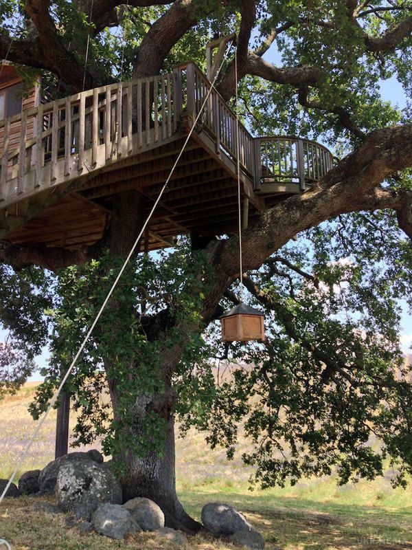 Затишний будиночок на дереві посеред мальовничого лавандового поля (фото). Будиночок на дереві Suite Bleue в мальовничій італійській комуні Арлена-ді-Кастро ніби втілився з дитячих мрій, підглянутих добрим чарівником. 