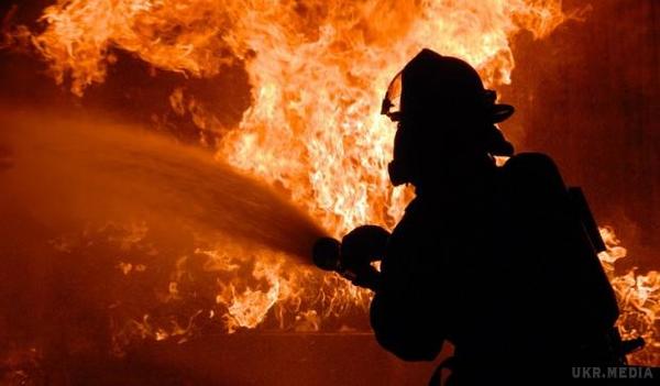 Пожежа під Києвом досягла розміру кількох сіл. Розгорілася масштабна пожежа під Києвом. Площа горіння досягає розміру декількох сіл.
