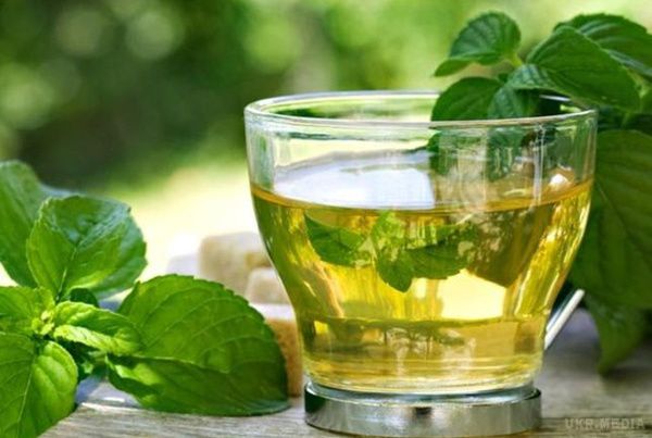 Названий простий напій на кожен день, який поліпшує роботу мозку. Голландські і британські дослідники прийшли до висновку, що вживання чаю поліпшує інтелектуальні здібності дорослої людини.