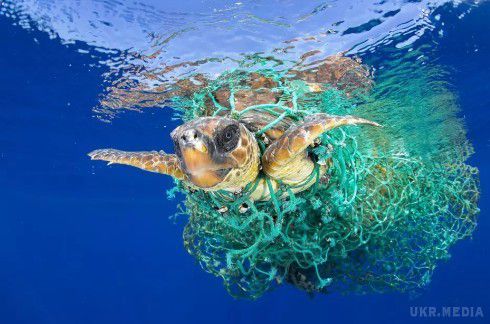 ООН починає кампанію по боротьбі з пластиковим сміттям в океані. Нещодавно Організація Об'єднаних Націй звернулася до споживачів із закликом приборкати свою звичку до використання одноразових пластикових предметів, після того, як наукове дослідження показало, що щорічно населення викидає в океан мільйони тонн пластикового сміття.