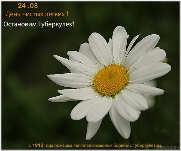 День боротьби з туберкульозом: події 24 березня. Жартівливе побажання «Будь здоровий, не кашляй» сьогодні набуває особливого сенсу.