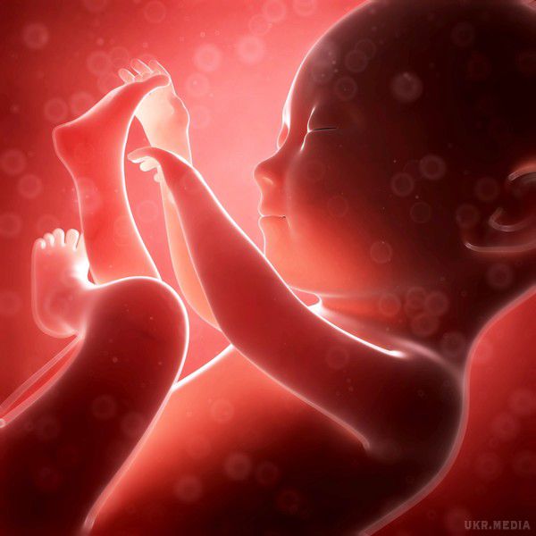 В Індонезії народилося немовля з близнюком всередині. В Індонезії народилося немовля з близнюком всередині. Зараз новонародженого хлопчика готують до складної і небезпечної операції по видаленню брата.