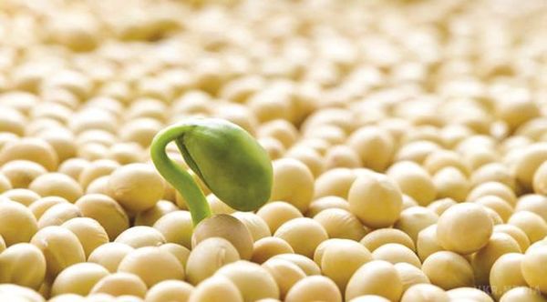 Речі у вашому будинку, які завдають шкоди щитовидній залозі. Всі ці численні гербіциди, протигрибкові засоби, інсектициди і все, чим обприскують і поливають сільськогосподарські культури, є шкідливим для щитовидної залози зокрема і нашого здоров'я в цілому.