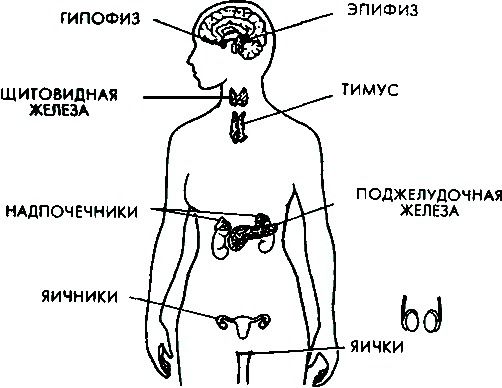Як ваше тіло формує долю (фото). Чи знаєте ви, що у вашому тілі відображена вся історія вашого життя?