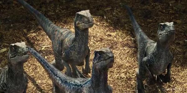 Експерти розвінчали міф про галасливих динозаврів. Для хижаків того часу кричати - протиприродно