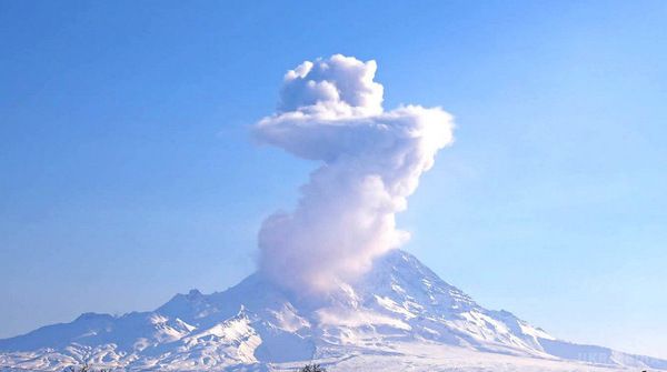 Вулкани Камбальний і Шивелуч викинули стовпи попелу. Вулкан Камбальний, вивергається на Камчатці, викинув стовп попелу на висоту до 2,5 км над рівнем моря.
