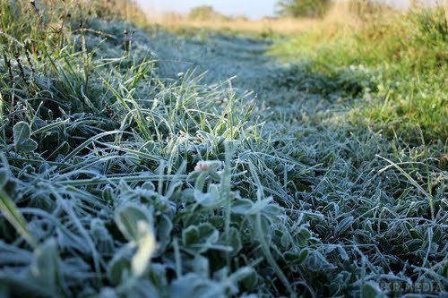 В Україні прогнозують до 5 градусів морозу. Про це повідомляє Гідрометеоцетр.