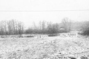 Харків і область засипало снігом (фото, відео). У регіон прийшло різке похолодання з опадами.