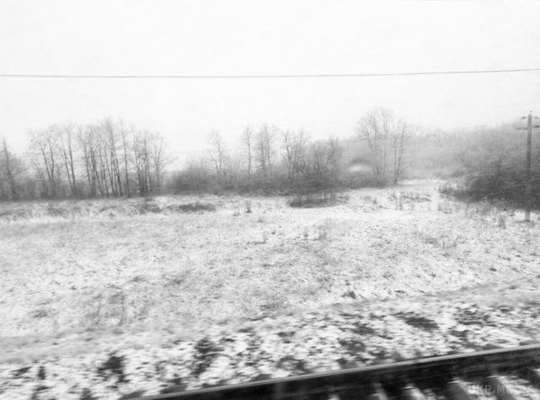Харків і область засипало снігом (фото, відео). У регіон прийшло різке похолодання з опадами.