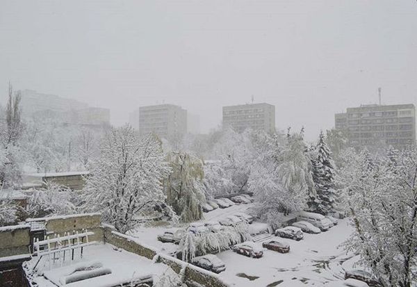 У Харкові прийшов сніговий апокаліпсис: фото і відео шоковані очевидці. Приголомшені місцеві жителі масово викладають в мережу кадри раптово повернувшоїся зими
