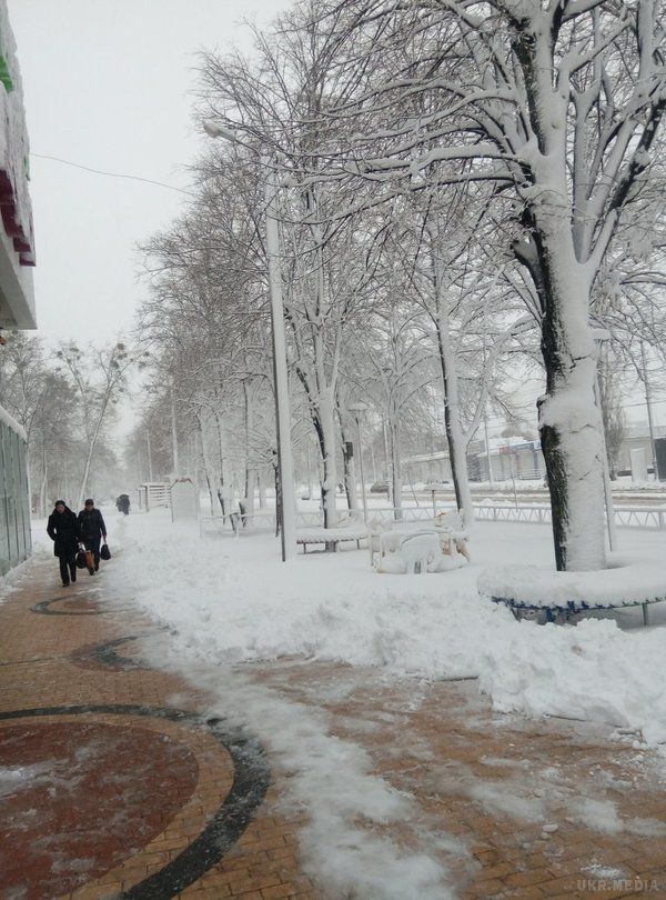 У Харкові прийшов сніговий апокаліпсис: фото і відео шоковані очевидці. Приголомшені місцеві жителі масово викладають в мережу кадри раптово повернувшоїся зими
