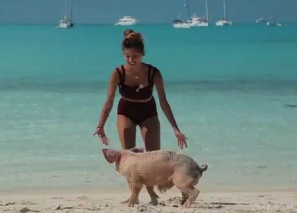 Регіна Тодоренко на Багамах скупалася зі свинями. Ведуча шоу Орел і Решка Регіна Тодоренко продемонструвала фото зі зйомок проекту на Багамських островах.