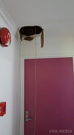 Гігантська змія провалила стелю і потрапила в будинок. В Австралії величезна змія проробила дірку у стелі і потрапила в будинок.
