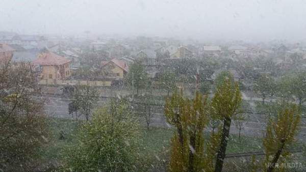 У Львові випав сніг. Відео. Густий мокрий сніг йшов з самого ранку.