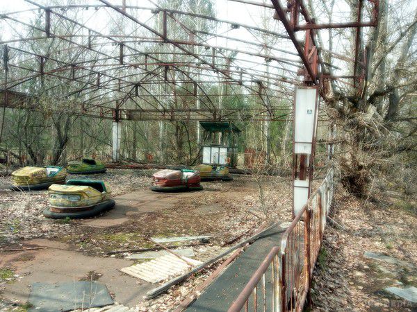 Що відбувається з природою і тваринами після аварії на ЧАЕС. З дня аварії на Чорнобильській атомній електростанції пройшов 31 рік. 