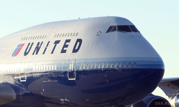  United Airlines знову в центрі скандалу. Авіакомпанія розслідує загибель гігантського кролика в літаку.