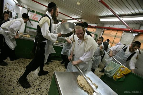 Ось чому араби і євреї не їдять свинину!. Всі знають, що іудеї та мусульмани не вживають в їжу свинину, але мало хто замислювався, чому ж у них так заведено. 