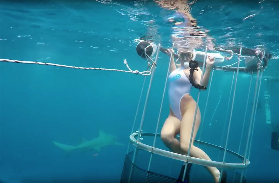 У США на порноактрису напали акули (відео). В американському штаті Флорида під час зйомок рекламного ролика з акулами з участю порноактриси Моллі Каваллі сталася непередбачена ситуація.