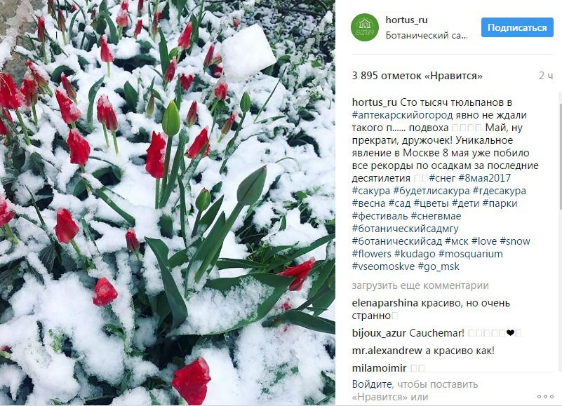 На Москву обрушився потужний снігопад: соцмережі рясніють яскравими світлинами (фото). Синоптики повідомляють, що сніг випаде і 9 травня.