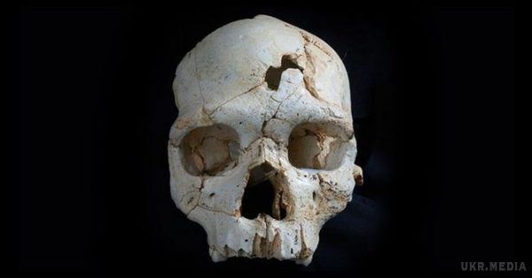 Вчені розповіли про вбивство, якому 430 тисяч років. Детальна комп'ютерна томографія черепа показала, що два проломи майже однакові
