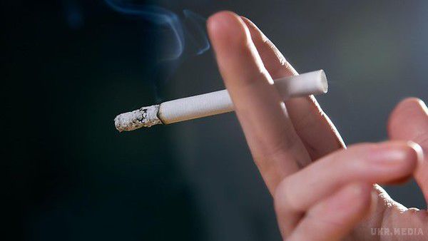 10 звичок, про яких потрібно назавжди забути. Нирки - одні з найбільш важливих органів.