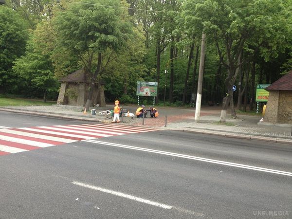 У Вінниці обурилися "капканом" для нічних водіїв. На Хмельницькому шосе встановили "болванчиків" на пішохідних переходах.
