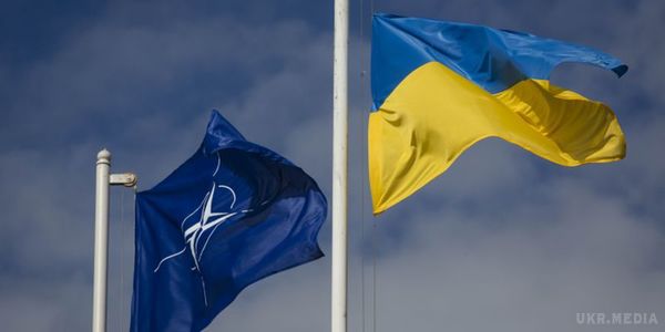 Як у НАТО прокоментували блокування інтернет-ресурсів РФ в Україні. У НАТО не вважають загрозою свободі слова блокування російських соцмереж і інтернет-сервісів в Україні.