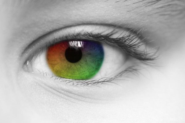 Існують унікальні кольори, які не бачить око людини. Людина не може уявити червоно-зелений колір або синьо-жовтий колір. 