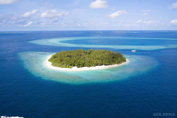Безлюдний острів в Тихому океані вчені визнали найбруднішим на Землі. Вчені визнали безлюдний кораловий острів Хендерсон в південній частині Тихого океану найбруднішим на Землі.