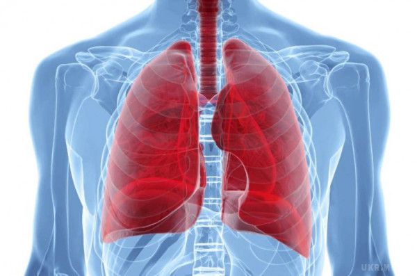 Вчені розробили унікальний препарат для лікування легенів. Дослідники з Единбурзького університету вважають, що людям з хворобливим станом легенів, може допомогти новий препарат. 