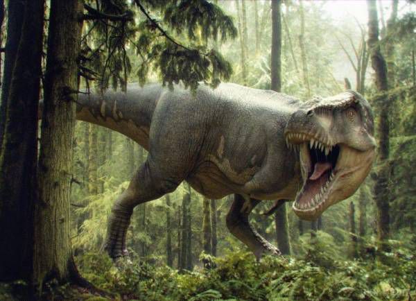 Вчені виміряли силу укусу тиранозавра. Палеонтологи дізналися, наскільки сильними були щелепи тиранозаврів.