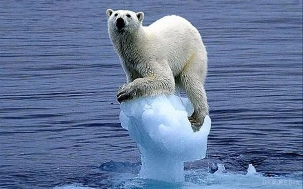 Вчені пояснили причину швидкого потепління в Арктиці. Арктика нагрівається значно швидше, ніж Антарктика.
