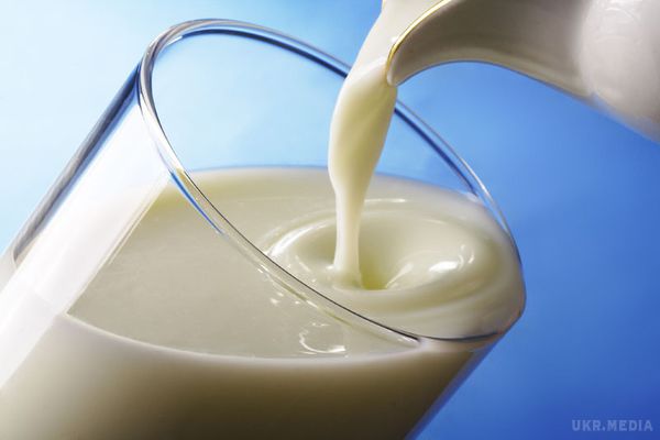 Заборона на "домашнє" молоко. В Україні можуть скасувати молоко другого сорту.