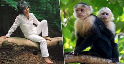 Дівчинка, вихована мавпами: приголомшлива історія Марини Чапман (фото)