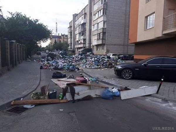 Львів атакували величезні щури (відео). Крім цього, одну з вулиць місцеві жителі перекрили сміттям нібито на знак протесту.
